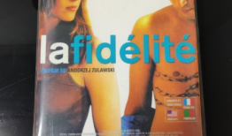 黄色经典视频,探寻黄色视频背后的故事